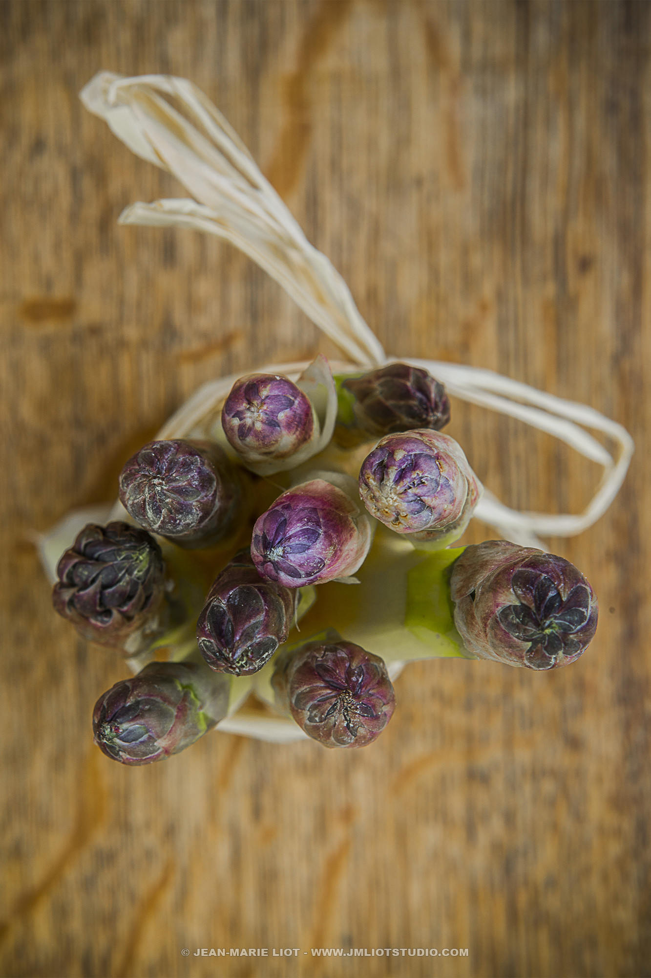 140503ASPERGES_ASPERGES_4JML0432