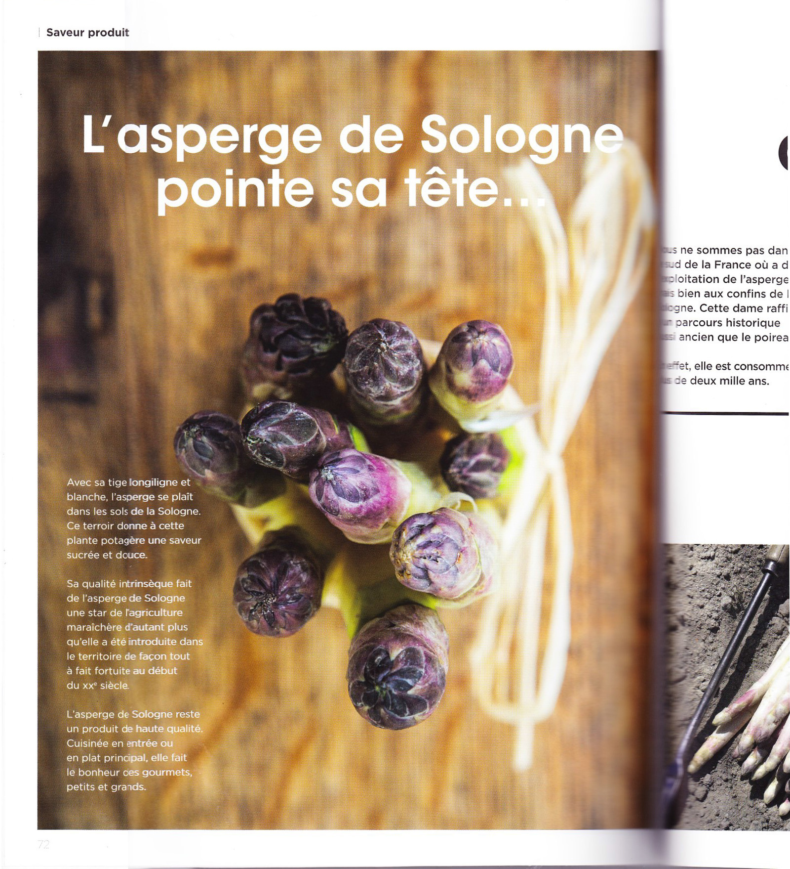 2015-06-origine-sologne